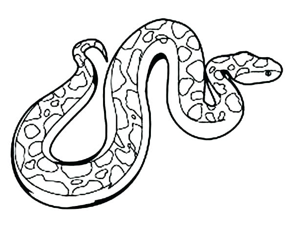 600x463 Boa Constrictor Coloring Page Rattlesnake Coloring Page