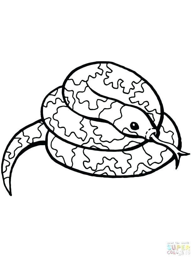 618x824 Boa Constrictor Coloring Page Snake Coloring Page Click The Coiled