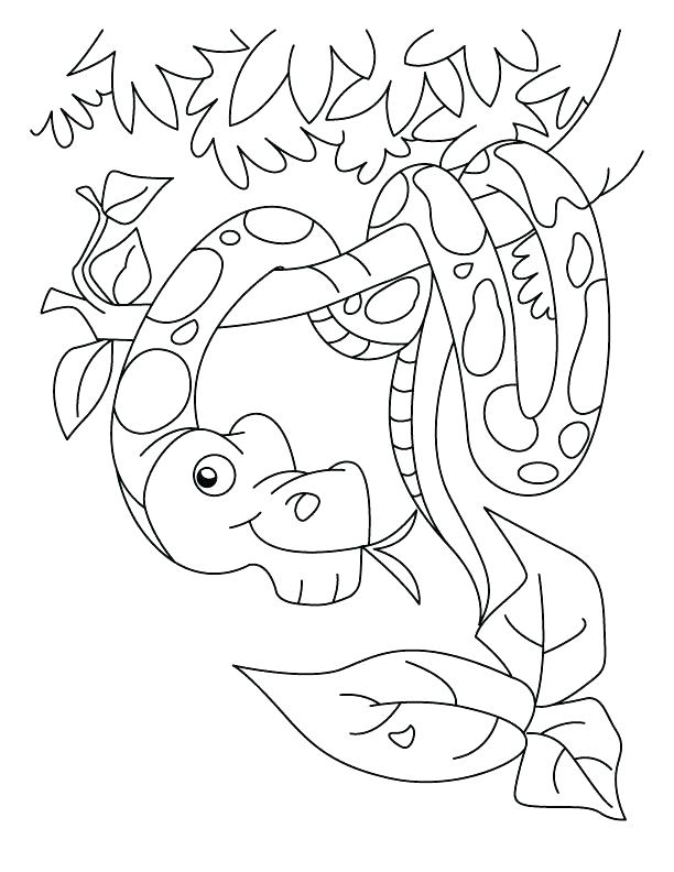 612x792 Snake Coloring Page Boa Constrictor Coloring Page New Year Snake