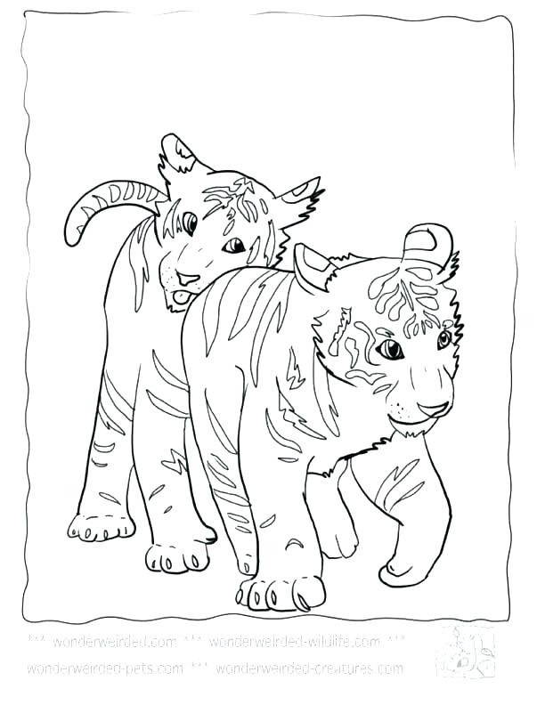 612x792 Bobcat Coloring Pictures Auburn Coloring Pages Tiger Coloring