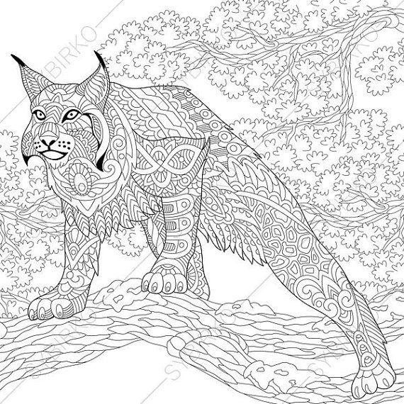 570x570 Wildcat Lynx Bobcat Caracal Coloring Pages Animal Coloring