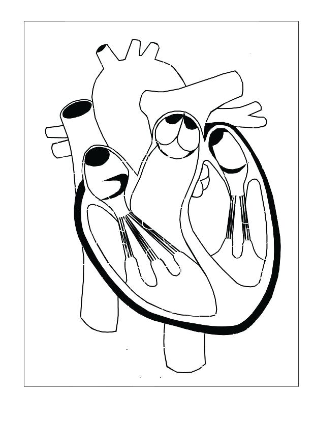 618x874 Human Body Parts Coloring Pages My Body Coloring Pages Preschool