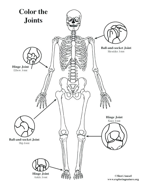 612x792 Body Coloring Pages Body Parts Coloring Pages Pdf