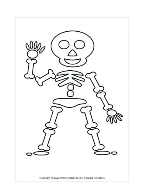 480x621 Printable Skeleton Template Large Body Parts Coloring Pages