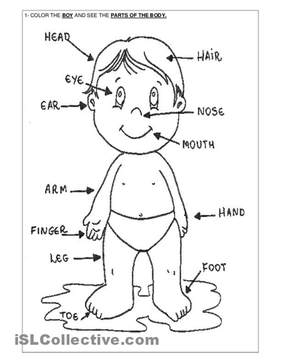 400x517 Related Body Parts Coloring Pages For Preschool Slp