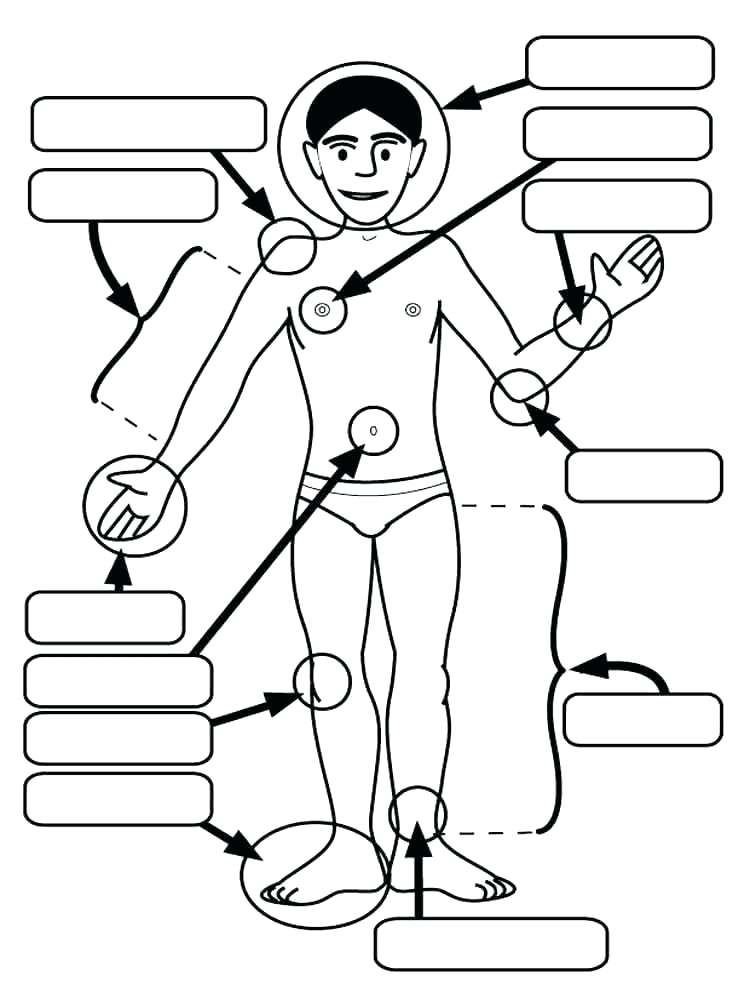 750x1000 Body Parts Coloring Pages For Preschool Fuhrer Von