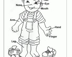 236x189 Convenient Free Coloring Pages Of My Body Part Preschool Body