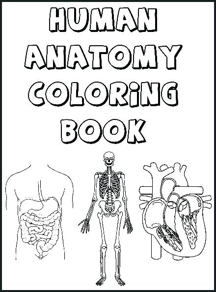 440x594 Body Coloring Pages Body Coloring Pages Anatomy Coloring Book