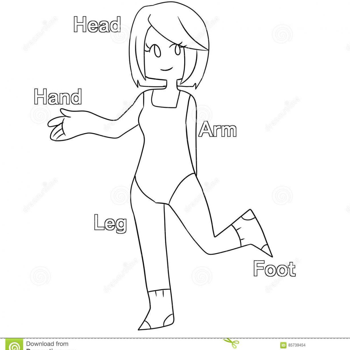 1224x1224 Human Body Coloring Pages Printable Learn My Kids Sheets Pictures