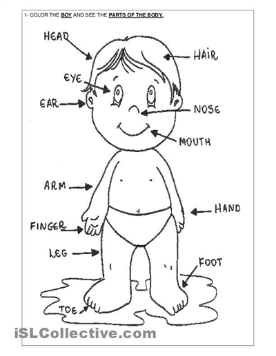 400x517 Parts Of The Body Coloring Pages For Preschool