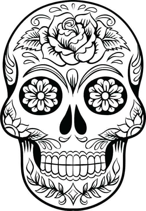505x730 Bones Coloring Pages Skull Bones Coloring Pages Human Skeleton