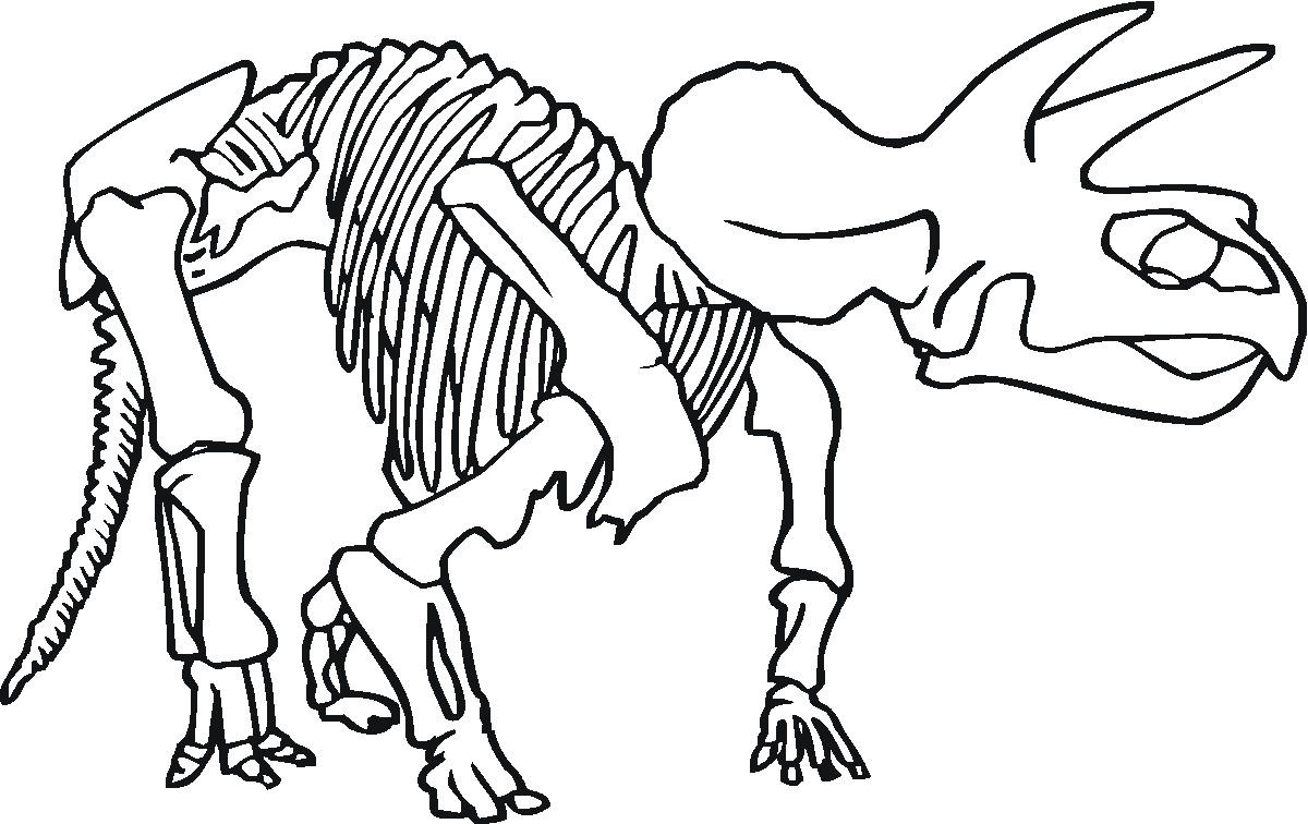 1200x756 Dinosaur Bones Coloring Pages