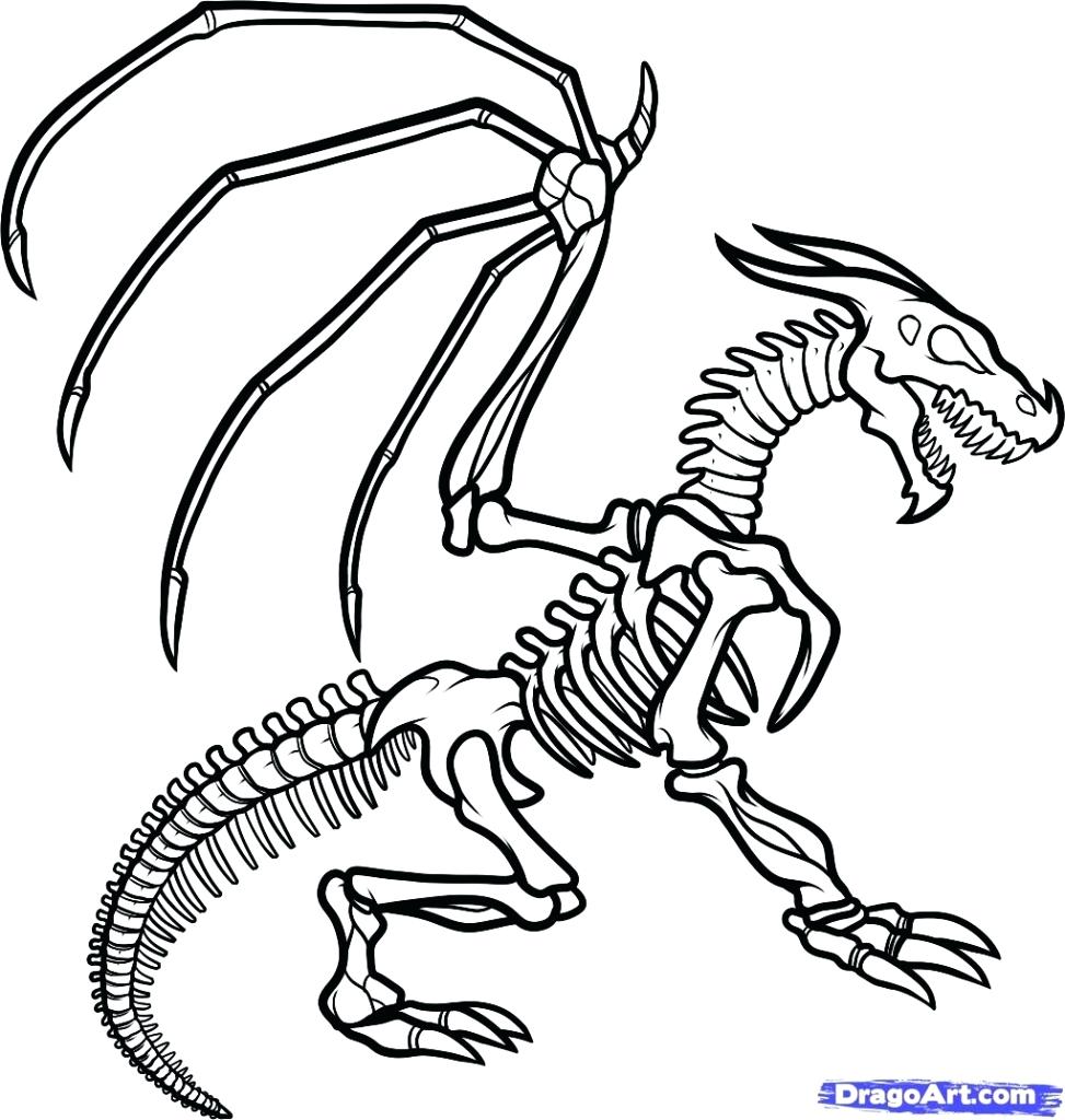 973x1024 Popular Dinosaur Bones Coloring Pages