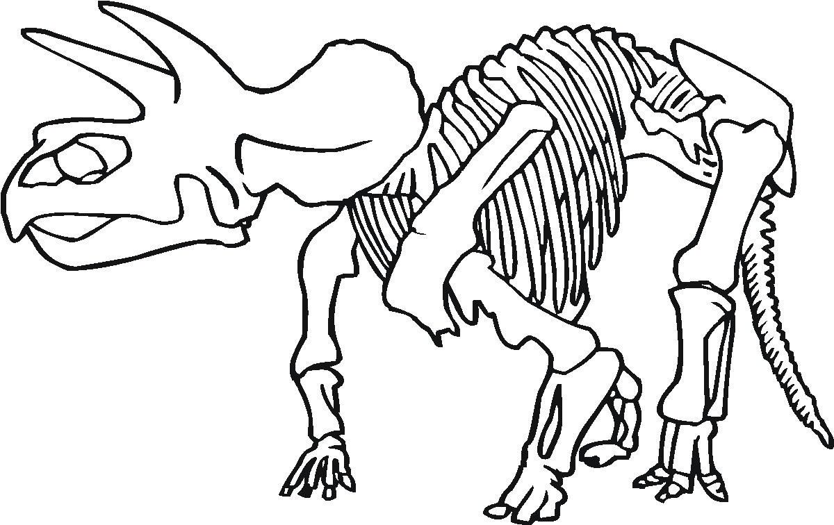 1200x756 Shocking Printable Dinosaur Bones Coloring For Skeleton Page Pict