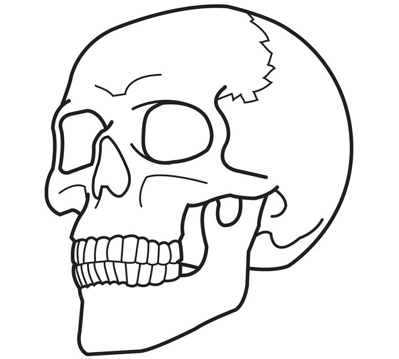 778x700 Skull Coloring Pages