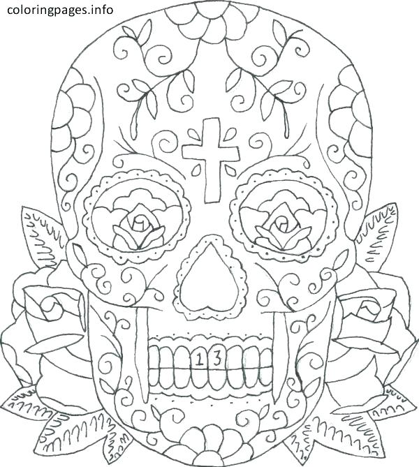 600x669 Skull Coloring Pages Anatomy Skull Coloring Page Skull Bones