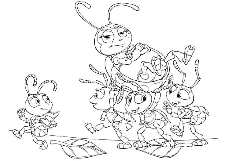 736x525 Coloring Bugs Little Bugs Life Coloring Page Ladybug Coloring