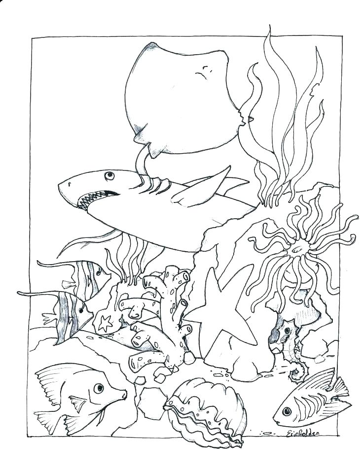 736x954 Coloring Pages Of Ocean Animals Ocean Life Coloring Pages Ocean