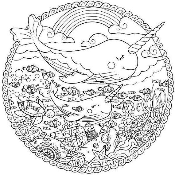 570x570 Narwhal Adult Coloring Pages Sea Life Coloring Page Whale