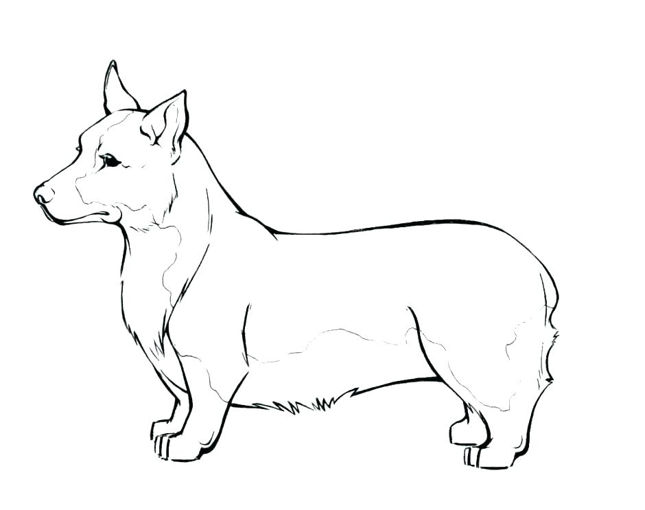 940x743 Corgi Coloring Pages Border Collie Coloring Pages Corgi Coloring