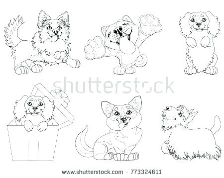 450x358 Corgi Coloring Pages The Set Cute Puppy Dogs Of A Border Collie