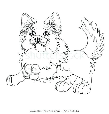450x470 Free Border Collie Coloring Pages Kids Coloring Border Coloring