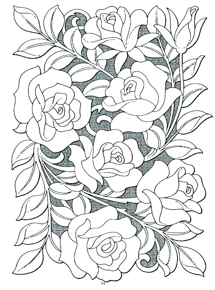 736x991 Roses Coloring Page Rose Coloring Pages Packed With Rose Coloring