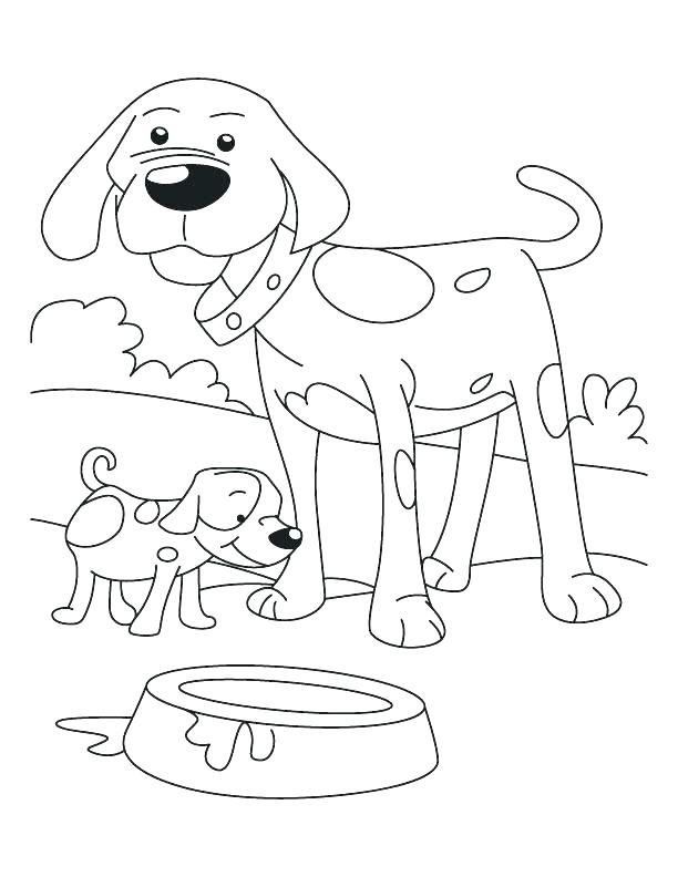 612x792 Border Collie Coloring Pages Dog Puppy Coloring Pages Dogs