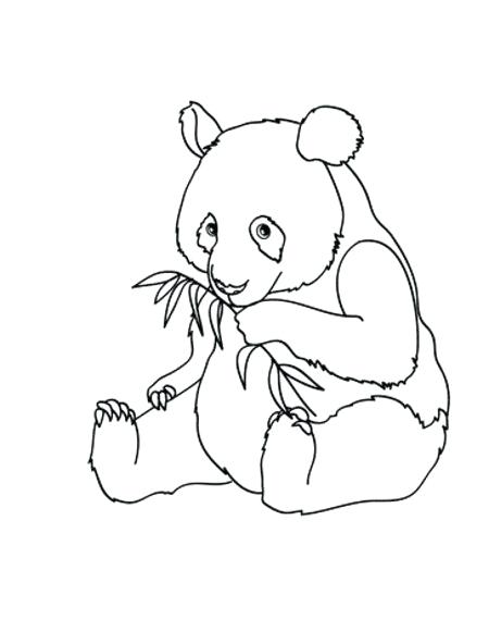 450x581 Panda Coloring Book Cute Baby Panda Coloring Pages For Kids
