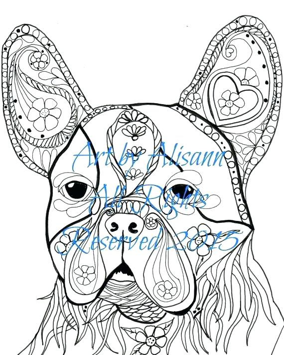 570x712 Boston Terrier Coloring Page Bull Terrier Coloring Page Free