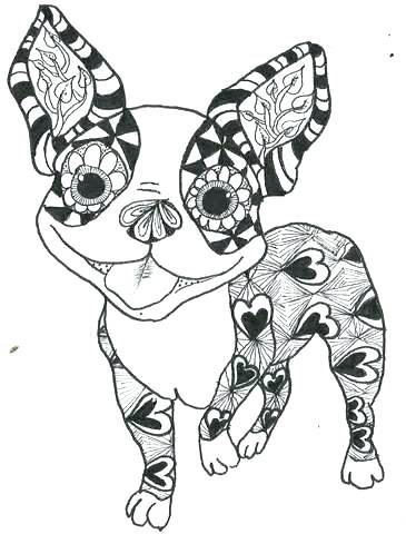 365x480 Boston Terrier Coloring Pages Plus Terrier Coloring Pages