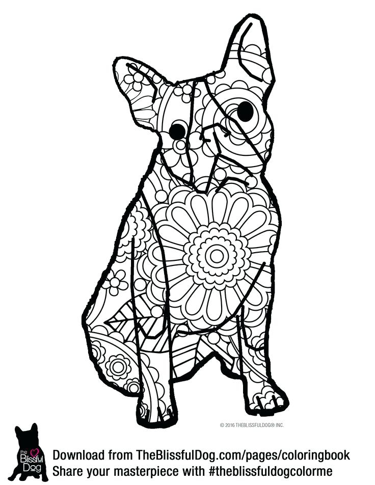 736x952 Coloring Boston Terrier Coloring Pages Free
