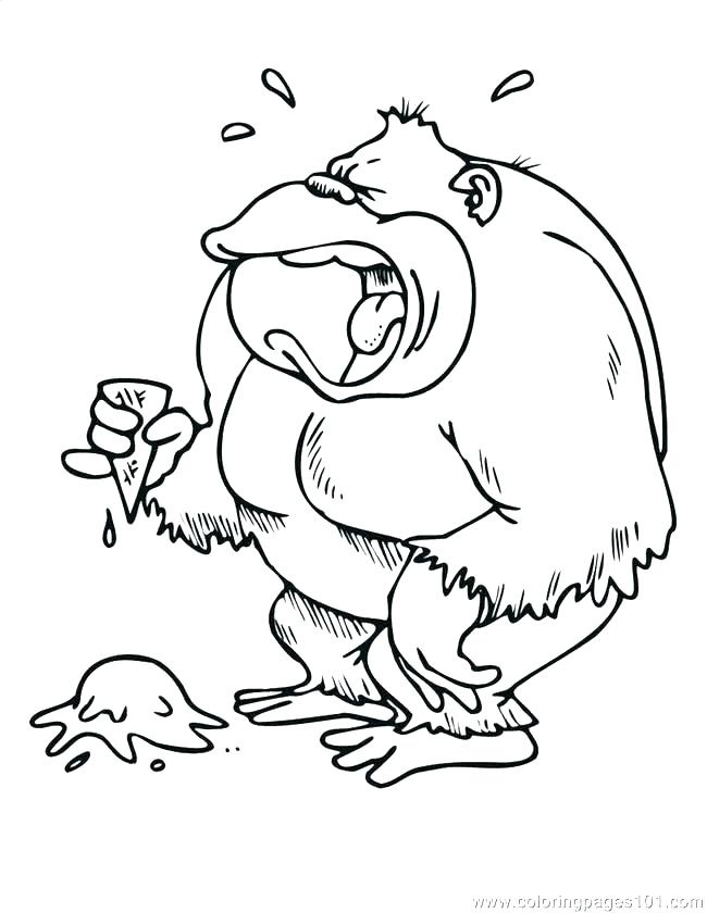 650x840 Boston Terrier Coloring Page