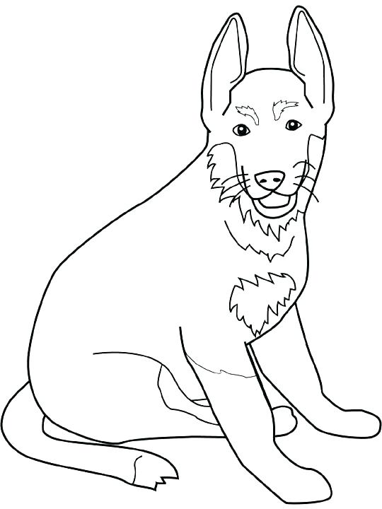 540x720 Coloring Boston Terrier Coloring Pages Best Of Page Or Dog