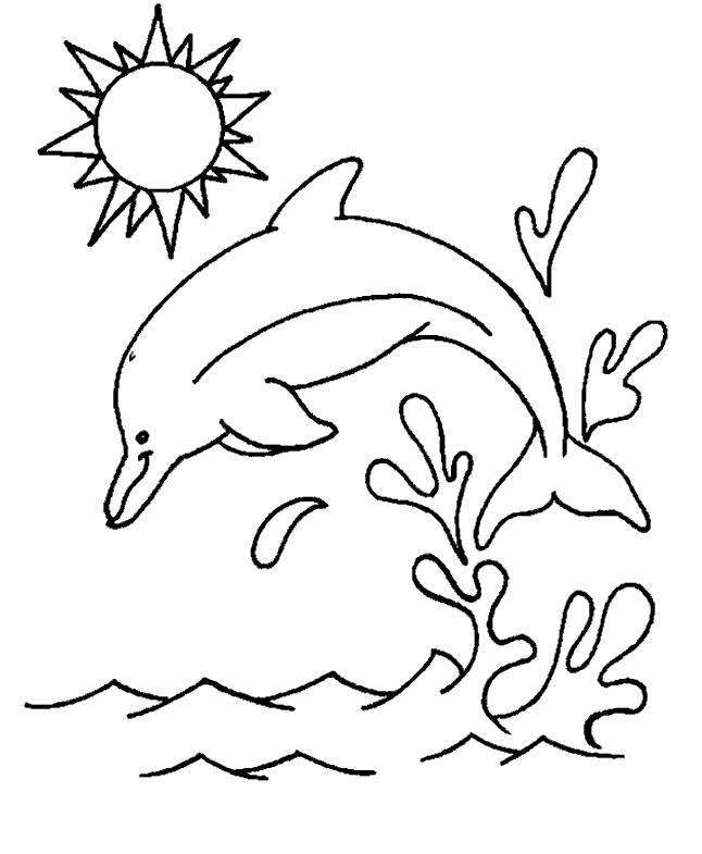 646x785 Dolphins Coloring Page