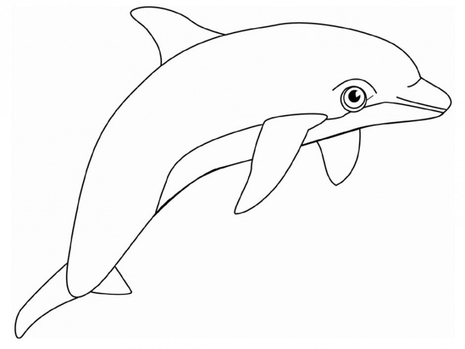 940x705 Winter The Dolphin Coloring Pages Winter The Dolphin Coloring