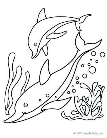 Bottlenose Dolphin Coloring Page at GetDrawings | Free download