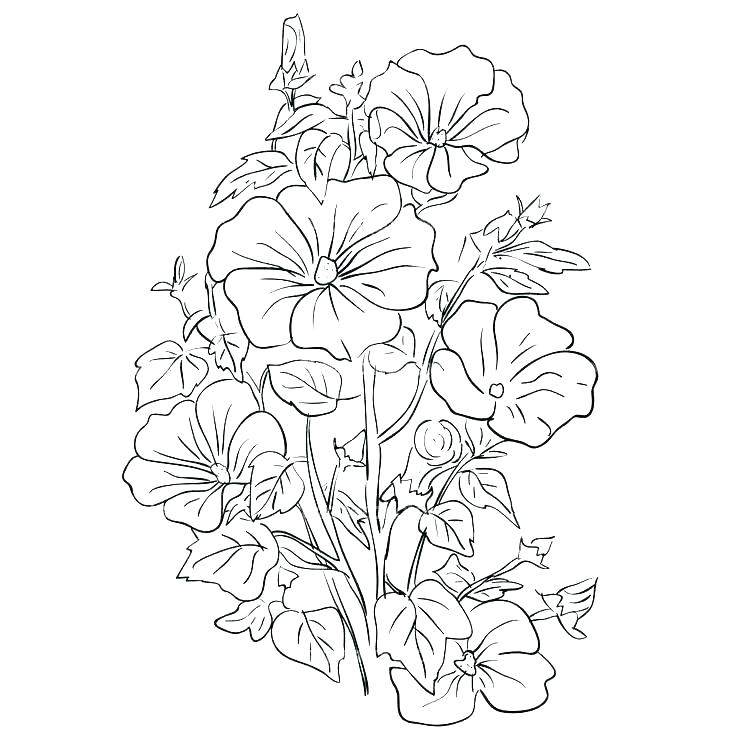736x736 Flower Bouquet Coloring Pages