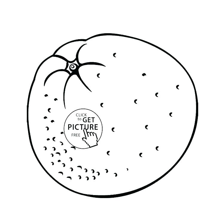 736x742 Bowl Of Fruit Coloring Page