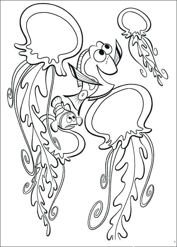 567x794 Jellyfish Color Pages Box Jellyfish Coloring Pages Happy Printable