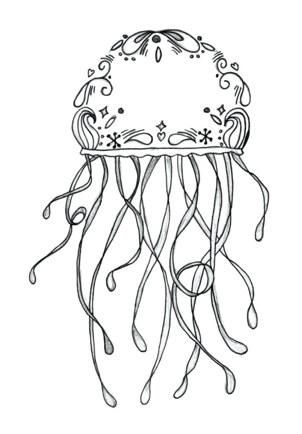 600x862 Jellyfish Coloring Page Innovative Jellyfish Coloring Page Cool