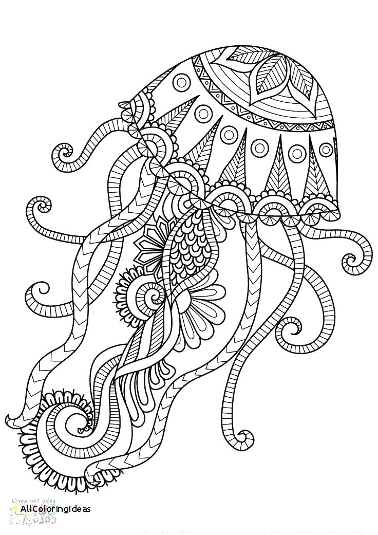 736x1041 Jellyfish Coloring Pages