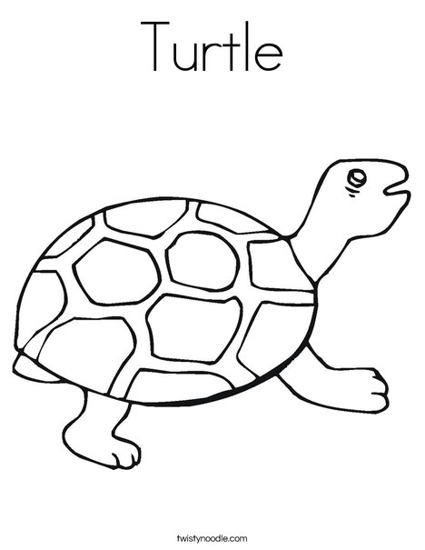 468x605 Turtle Coloring Page
