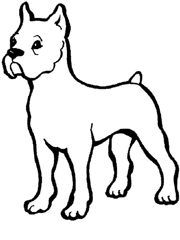600x800 Boxer Dog Baby Coloring Pages Best Place To Color