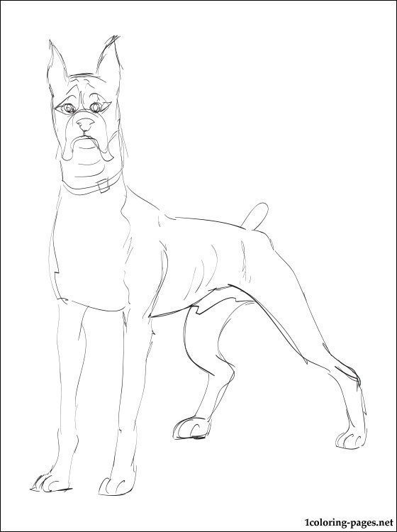 560x750 Boxer Dog Coloring Page Coloring Pages