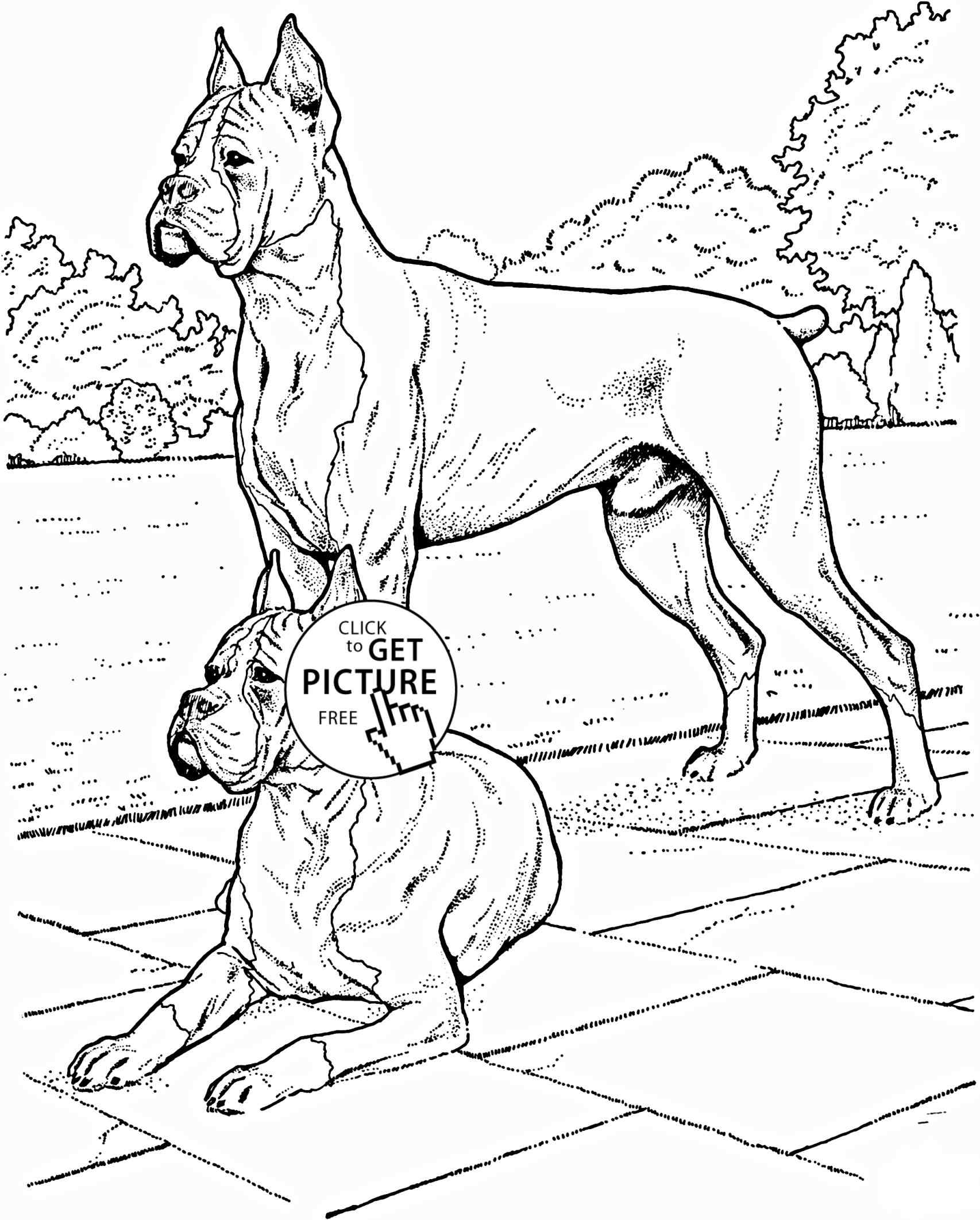 1706x2123 Realistic Boxer Dog Coloring Pages Online Coloring Printable