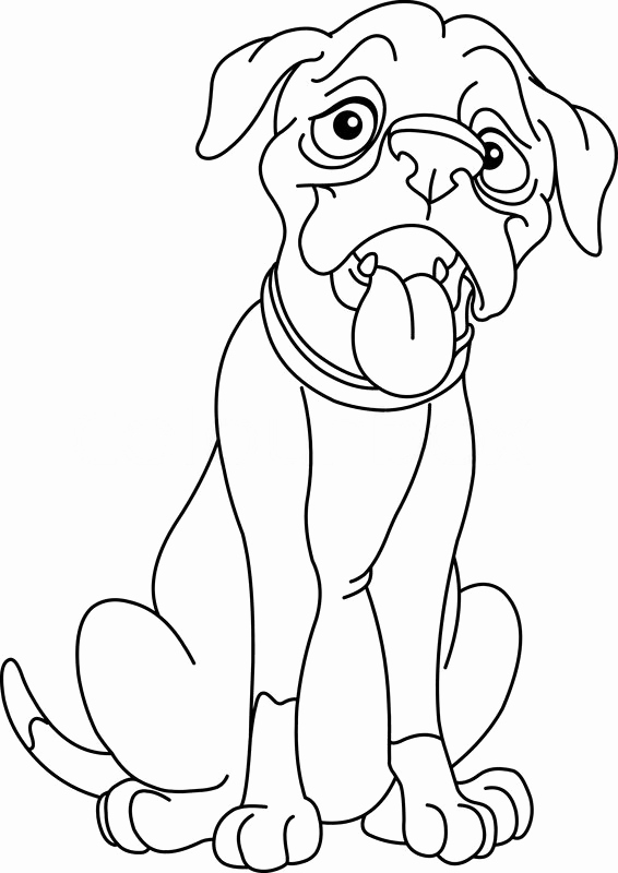 566x800 Boxer Puppy Coloring Pages Stock Outlined Boxer Dog Stock Vector