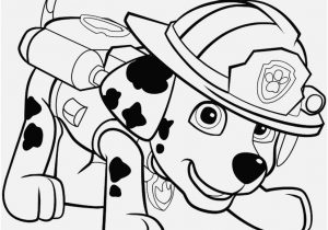 300x210 Cute Puppy Coloring Pages To Print Display Boxer Puppy Coloring