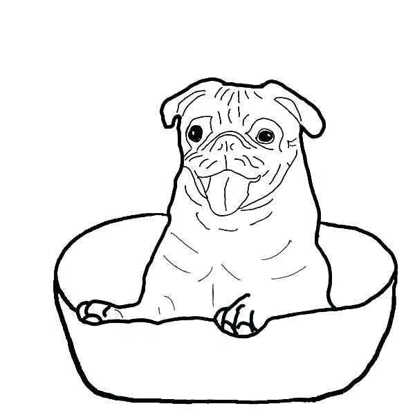 600x600 Boxer Coloring Pages Boxer Dog Coloring Pages Boxer Puppy Coloring
