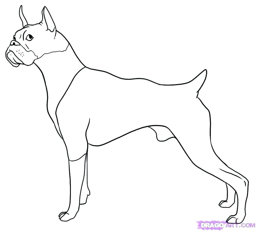 841x759 Boxer Coloring Pages Boxer Dog Coloring Pages Drawn Puppy Boxer